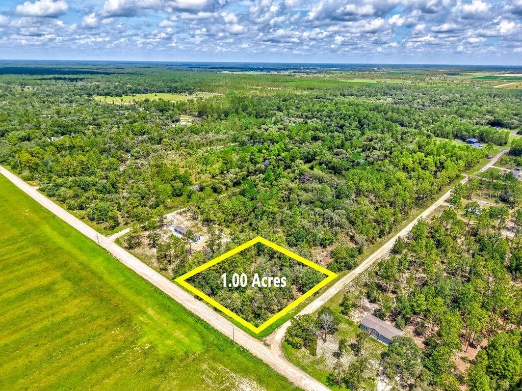 NE 10TH STREET WILLISTON, FL 32696