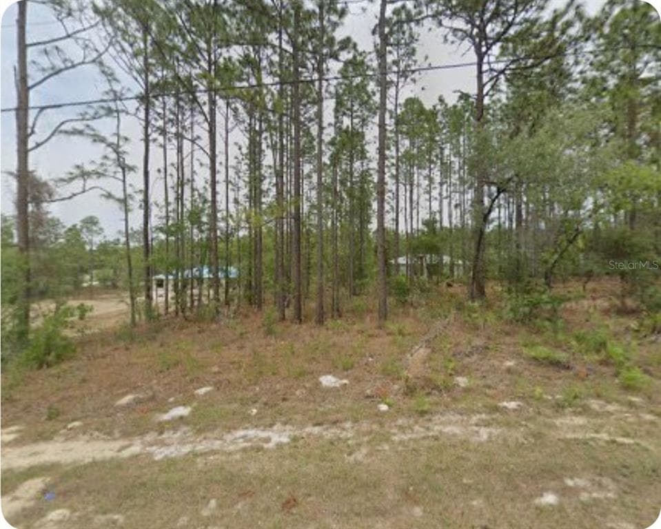 1561 W GAINSBORO LANE CITRUS SPRINGS, FL 34434
