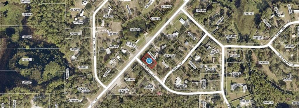 E ORANGE AVENUE EUSTIS, FL 32726
