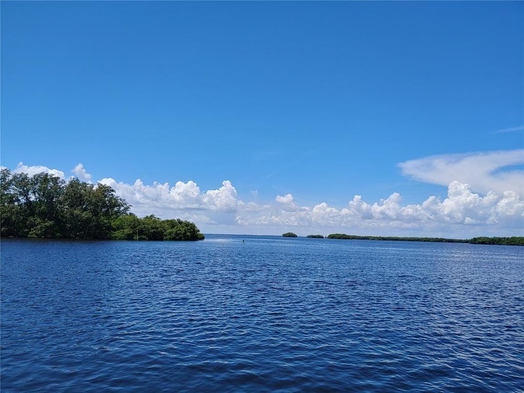 1020 CANAL STREET RUSKIN, FL 33570