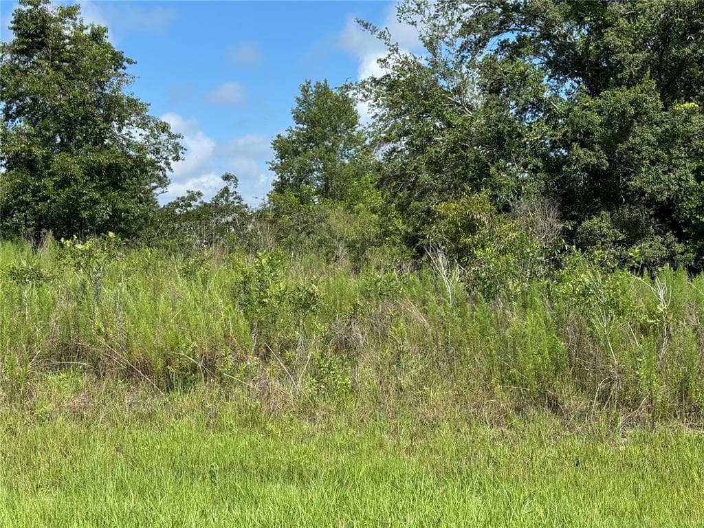 413 E PARKER LOOP DUNNELLON, FL 34434