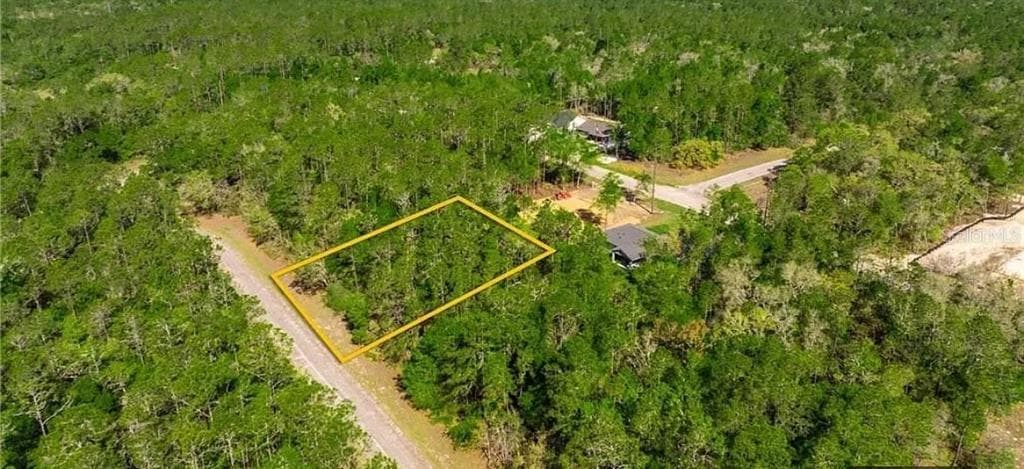 165 E SIMMS LN CITRUS SPRINGS, FL 34434