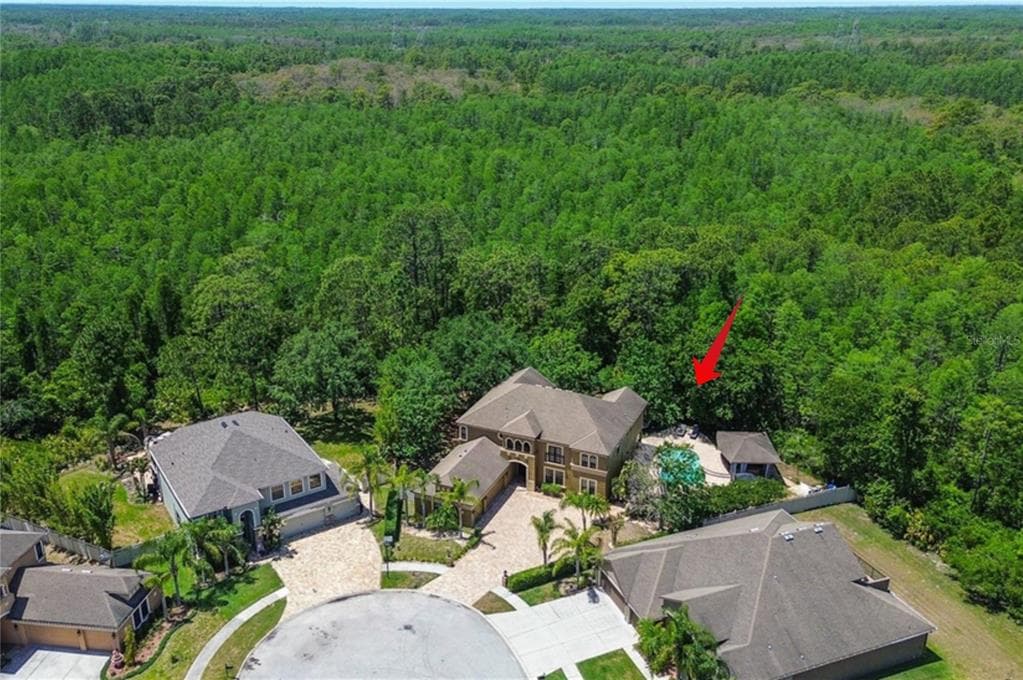 14809 NINEBARK COURT LAND O LAKES, FL 34638
