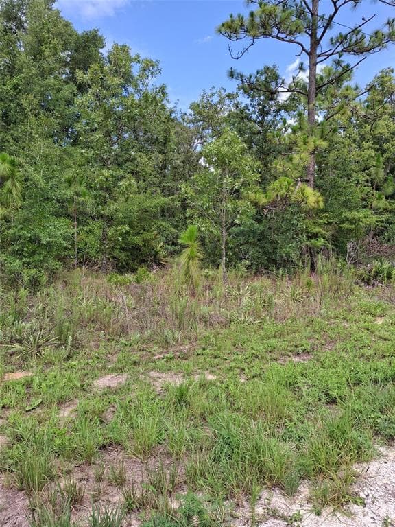 Lot 7 CRABAPPLE ROAD