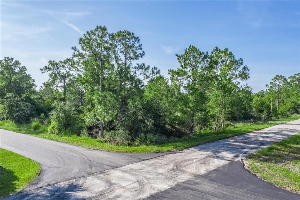 212 AVENGER STREET NW LAKE PLACID, FL 33852