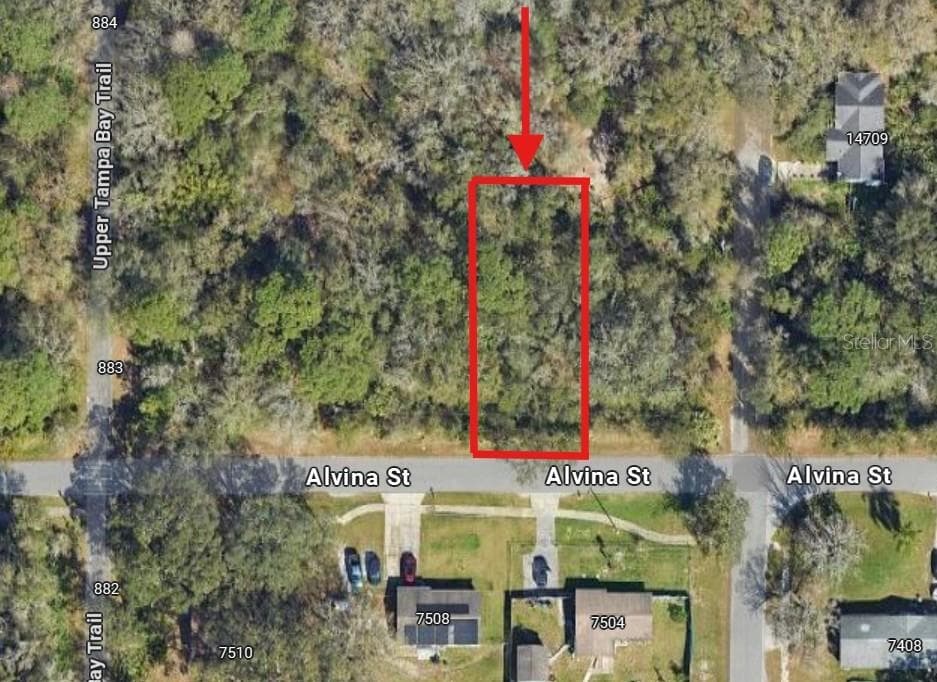 0 ALVINA STREET TAMPA, FL 33625