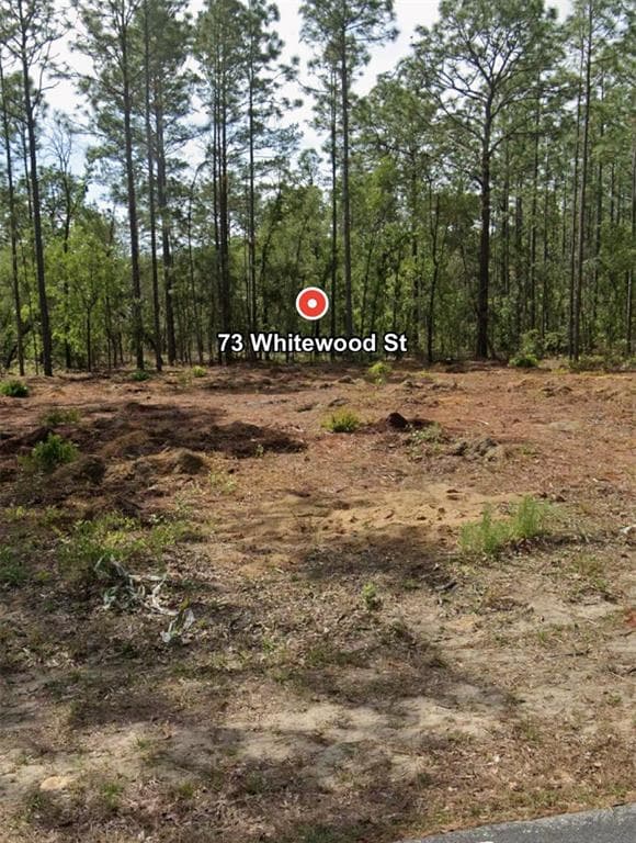 73 WHITEWOOD STREET HOMOSASSA, FL 34446