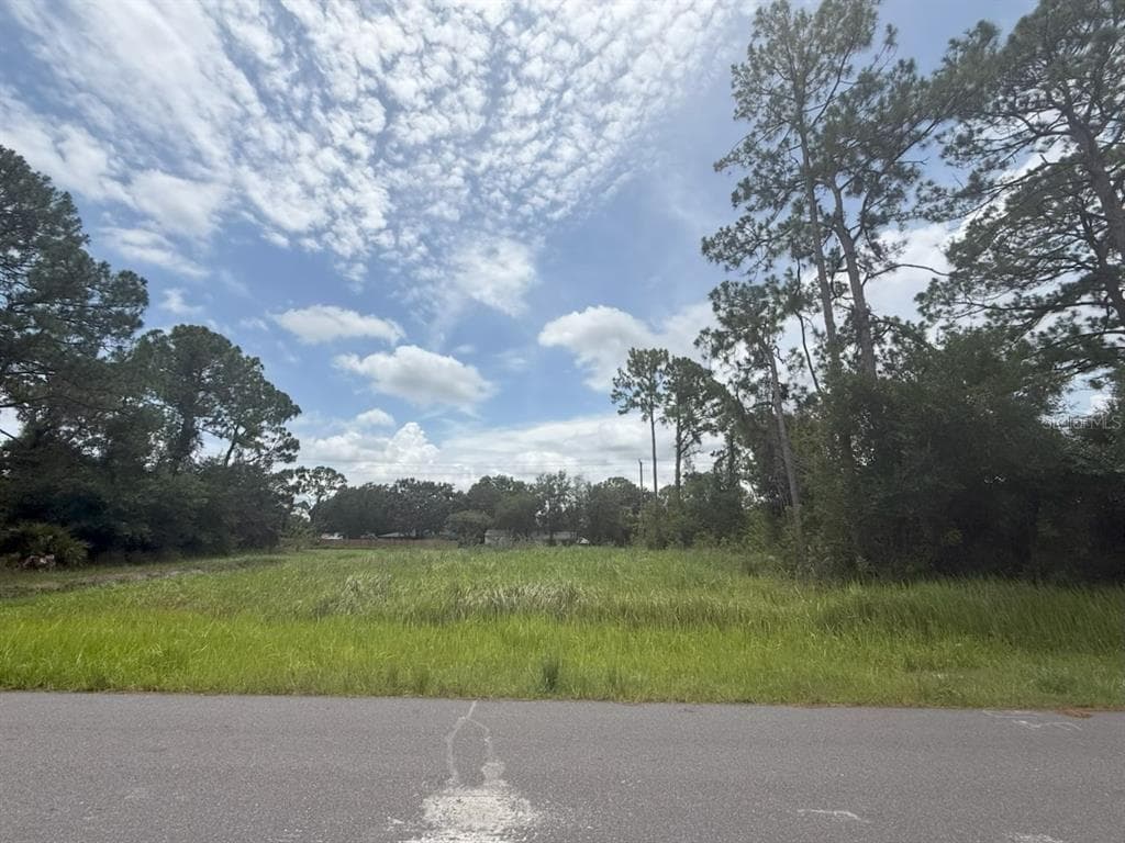 1106 SIBONEY STREET NW PALM BAY, FL 32907
