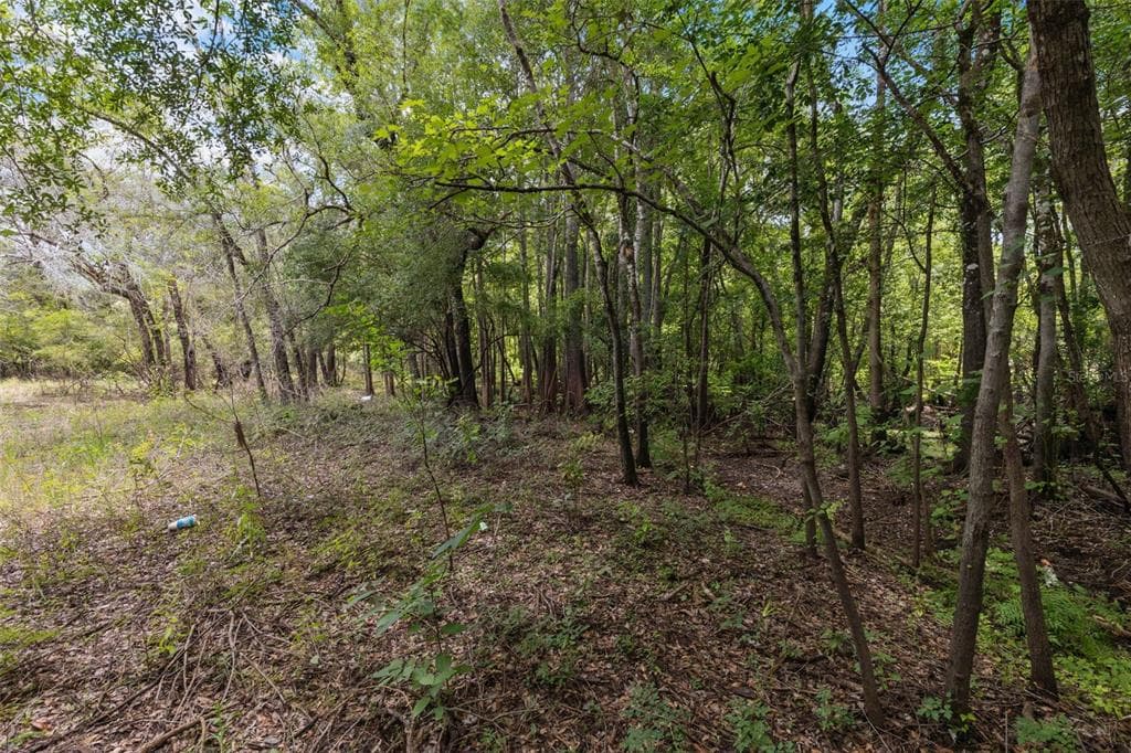 8198 SHASTA STREET WEBSTER, FL 33597