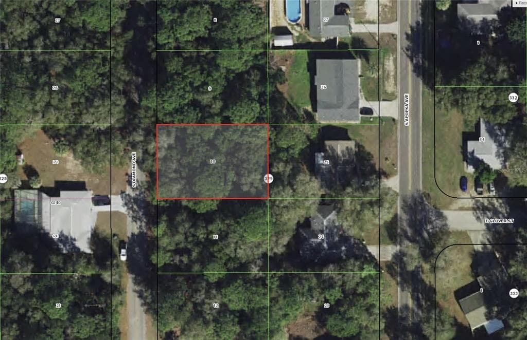 3737 S DIAMOND AVENUE INVERNESS, FL 34452