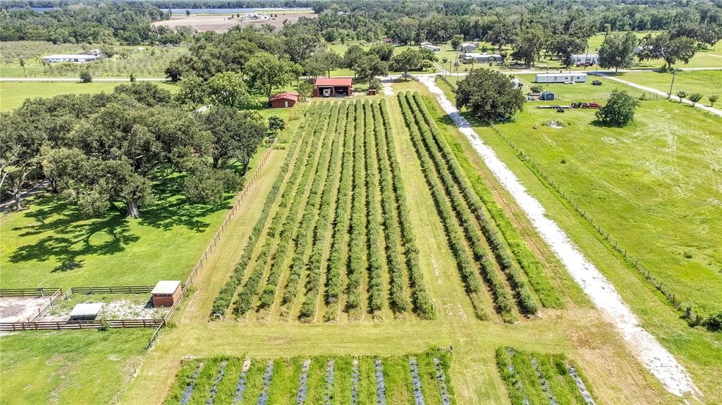 6205 BETHLEHEM ROAD MULBERRY, FL 33860