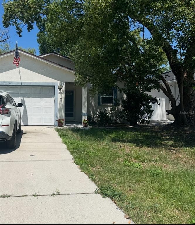 8414 N NEWPORT AVENUE TAMPA, FL 33604
