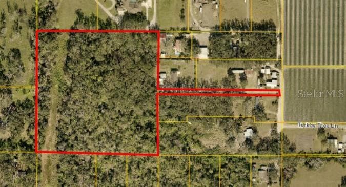 TURKEY TREE LANE DOVER, FL 33527