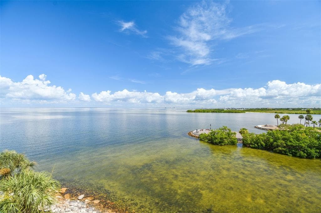 5000 CULBREATH KEY WAY UNIT 9324 TAMPA, FL 33611