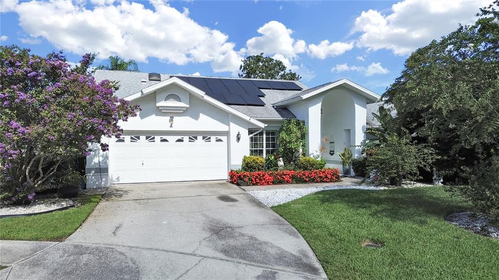 5135 MUSSELSHELL DRIVE NEW PORT RICHEY, FL 34655