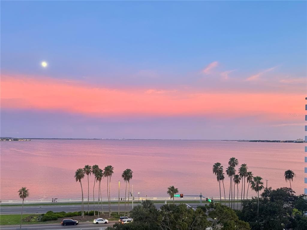 2109 BAYSHORE BOULEVARD UNIT 801 TAMPA, FL 33606