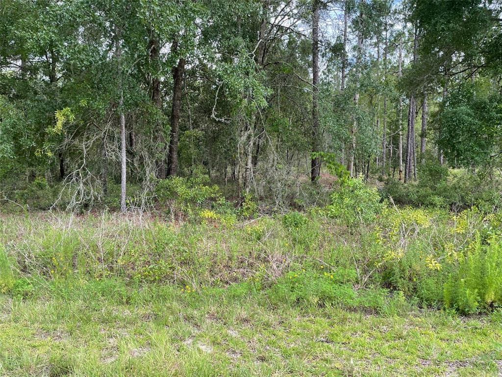 LOT 3 NW FALCON AVENUE DUNNELLON, FL 34431