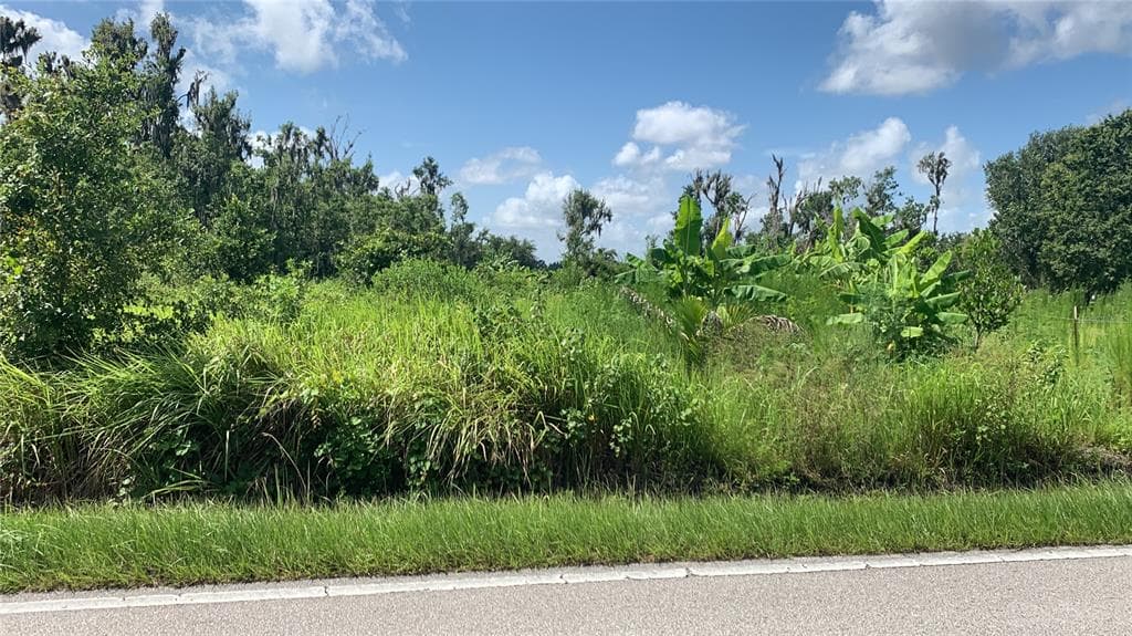 0 SINK HOLE ROAD BARTOW, FL 33830