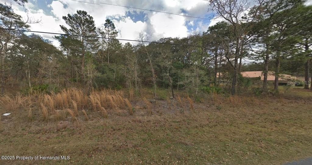 13176 KILDEER ROAD WEEKI WACHEE, FL 34614