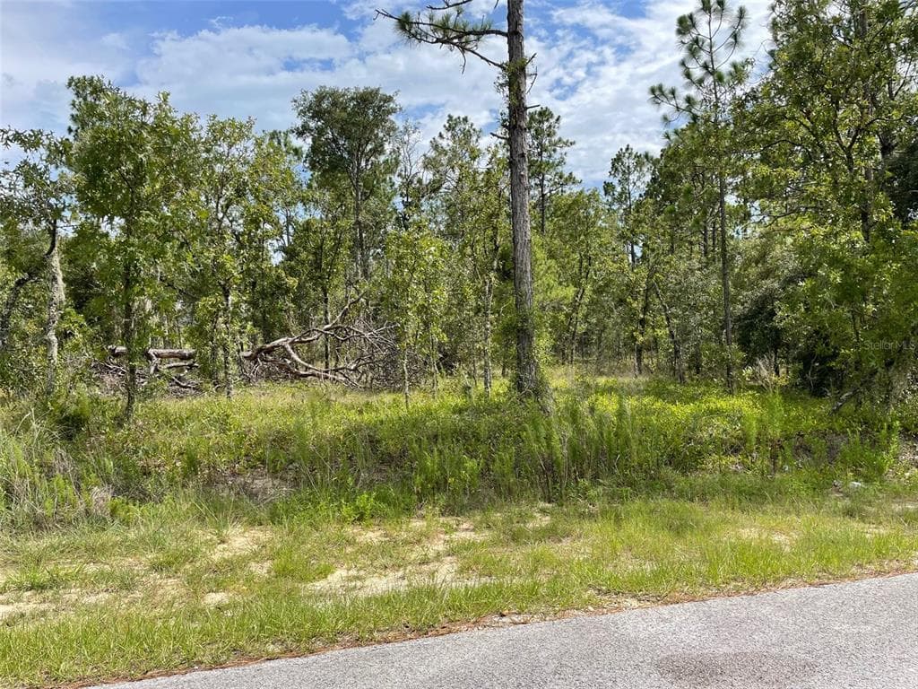 LOT 18 NW GERANIUM AVENUE DUNNELLON, FL 34431