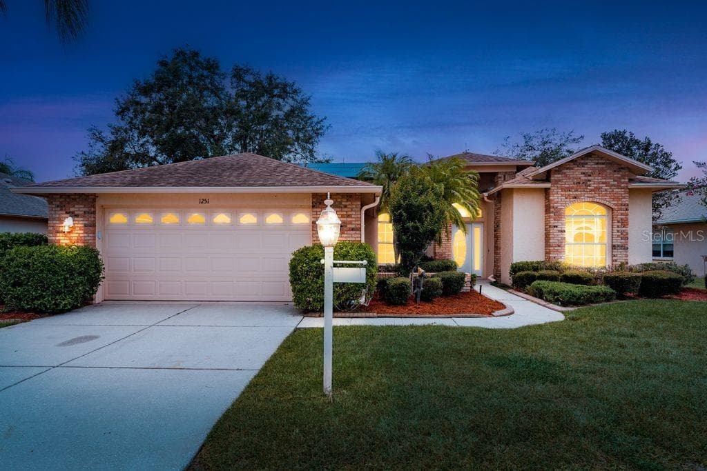 1251 RAMBLING VINE COURT TRINITY, FL 34655