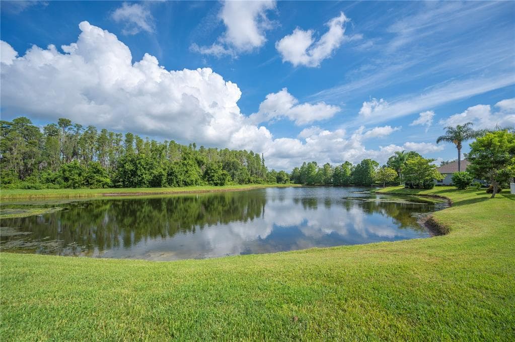 19443 EVERTON PLACE LAND O LAKES, FL 34638