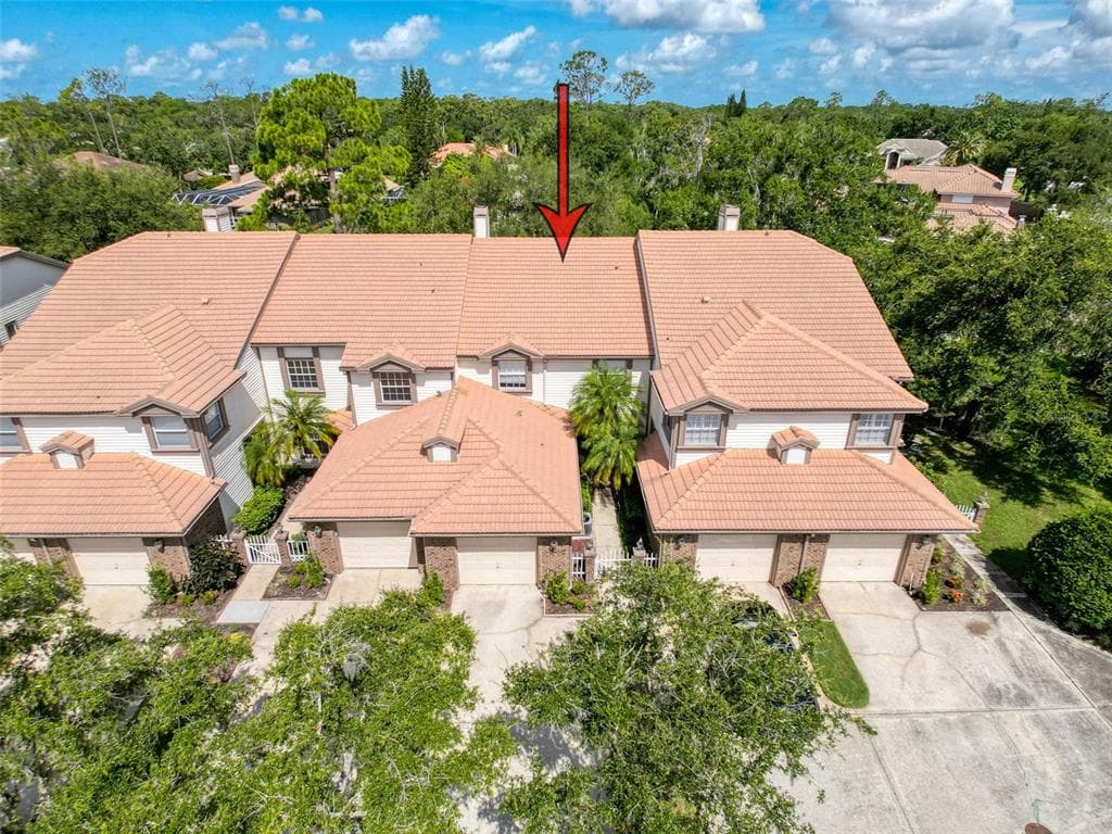 1292 CLAYS TRAIL OLDSMAR, FL 34677