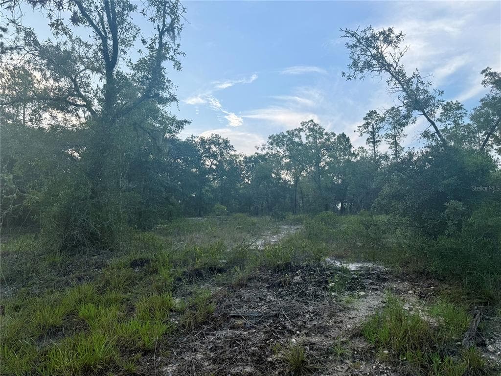 00 SW BARNACLE DRIVE DUNNELLON, FL 34431