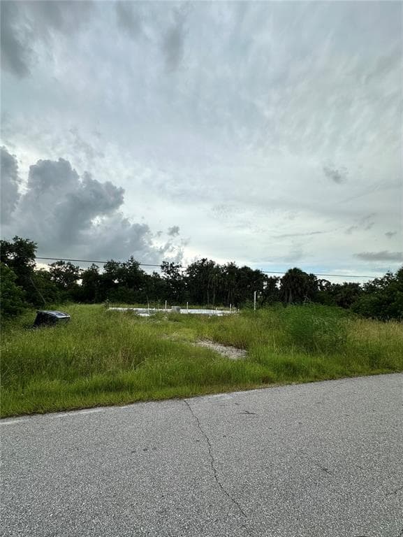 234 SPRING DRIVE ROTONDA WEST, FL 33947