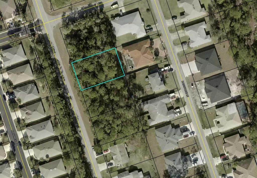 117 RAE DRIVE PALM COAST, FL 32164