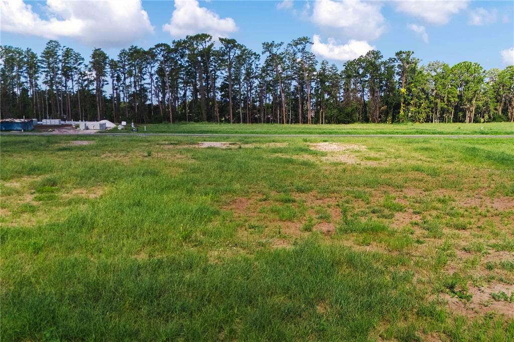 19319 DIMPLE DRIVE ODESSA, FL 33556