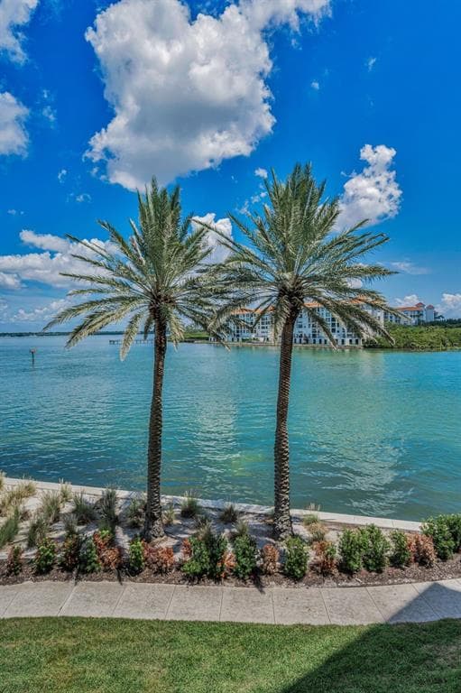 4993 BACOPA LANE S UNIT 204 ST PETERSBURG, FL 33715