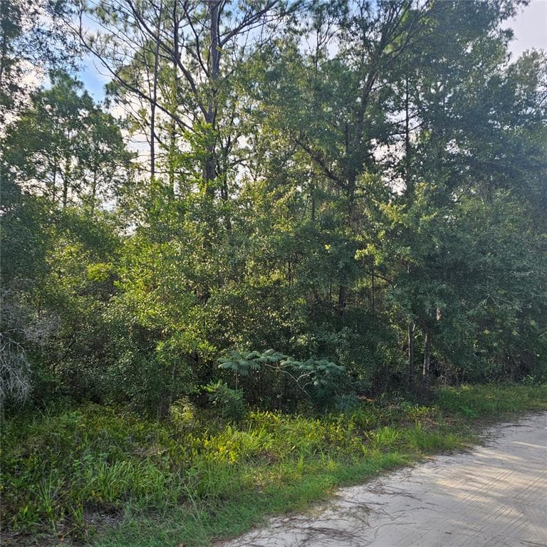 4532 N MITCHUM POINT CRYSTAL RIVER, FL 34428