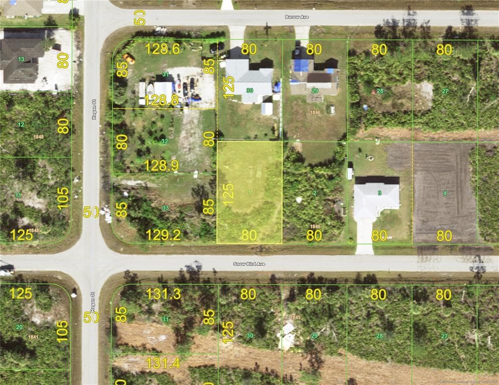 12080 SNOW BIRD AVENUE PORT CHARLOTTE, FL 33981