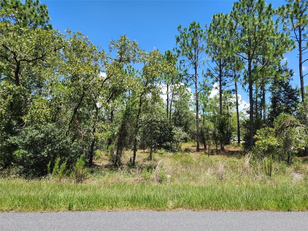 SW BEACH BOULEVARD DUNNELLON, FL 34431