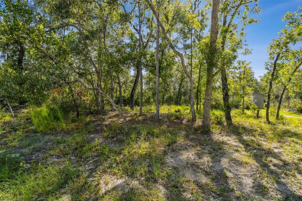 00 MAYBIRD AVENUE WEEKI WACHEE, FL 34613