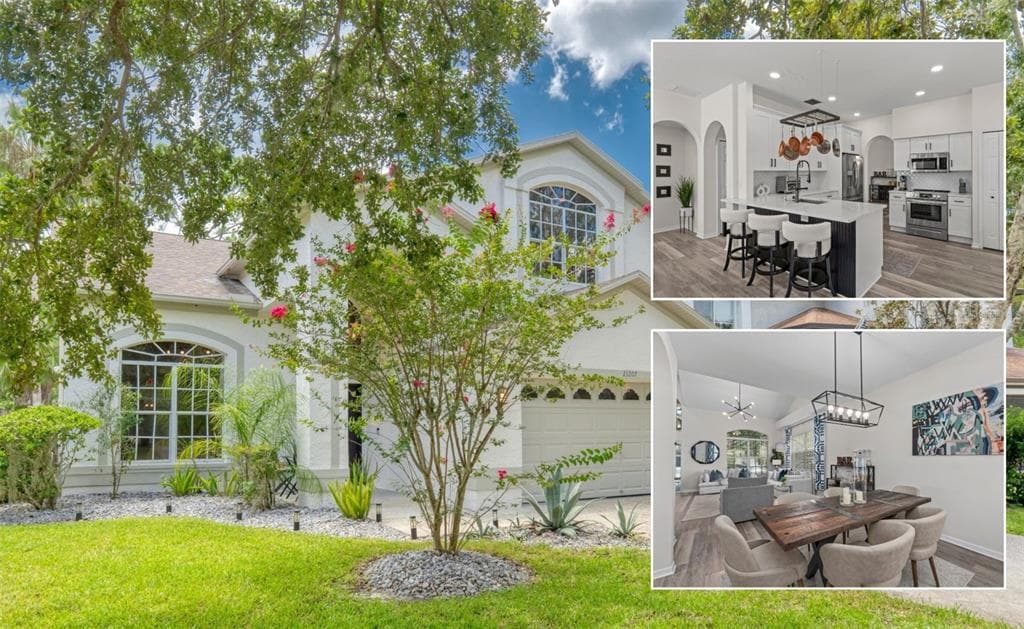 13207 ROYAL GEORGE AVENUE ODESSA, FL 33556