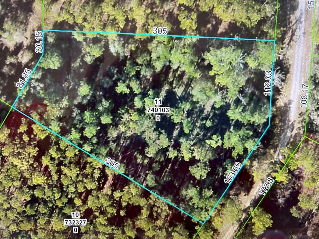 SOFTSTONE DRIVE WEBSTER, FL 33597