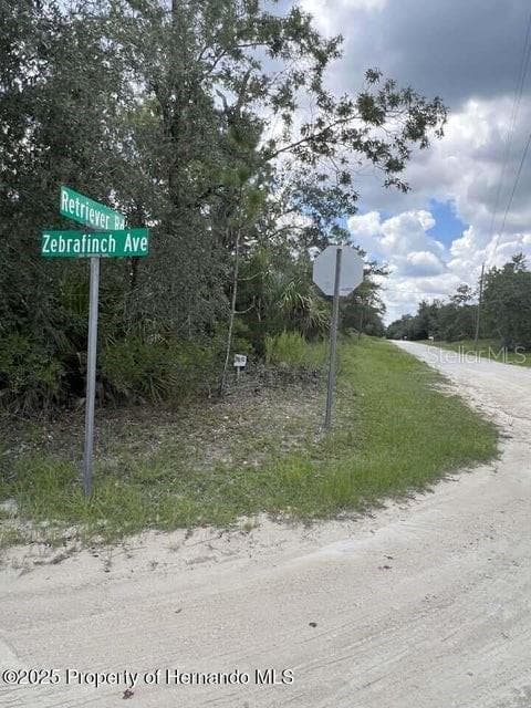 0 ZEBRAFINCH AVENUE WEEKI WACHEE, FL 34614