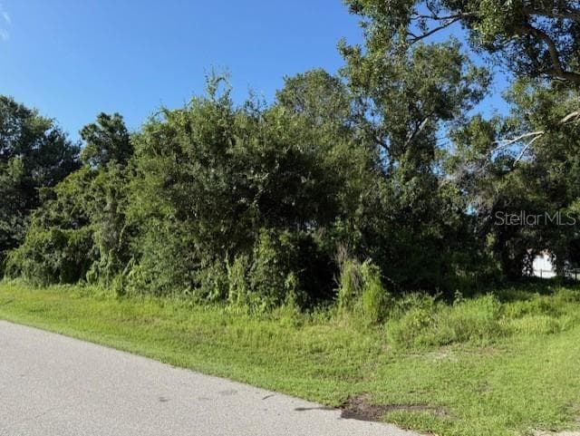 11335 EIGHTH AVENUE PUNTA GORDA, FL 33955