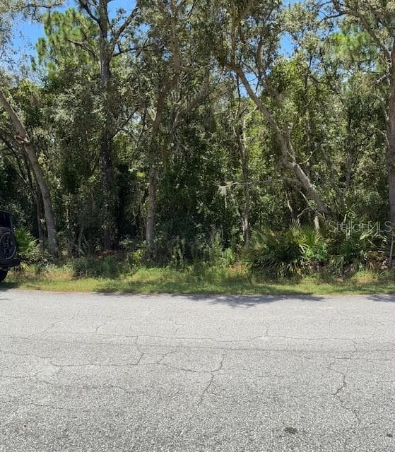 6361 W APPOMATTOX LANE HOMOSASSA, FL 34448