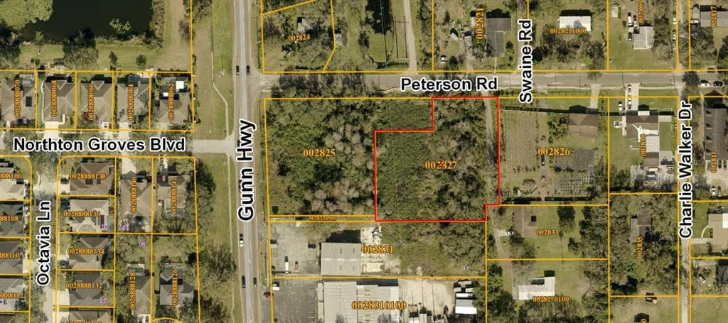 0 PETERSON ROAD ODESSA, FL 33556