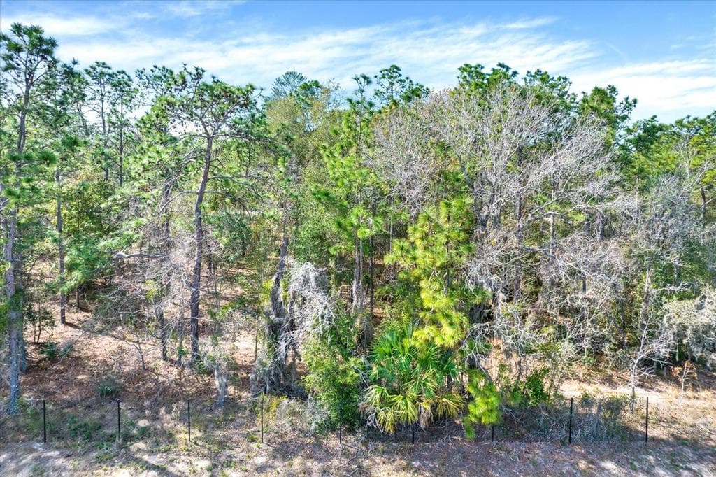 HONEYCREEPER ROAD BROOKSVILLE, FL 34614