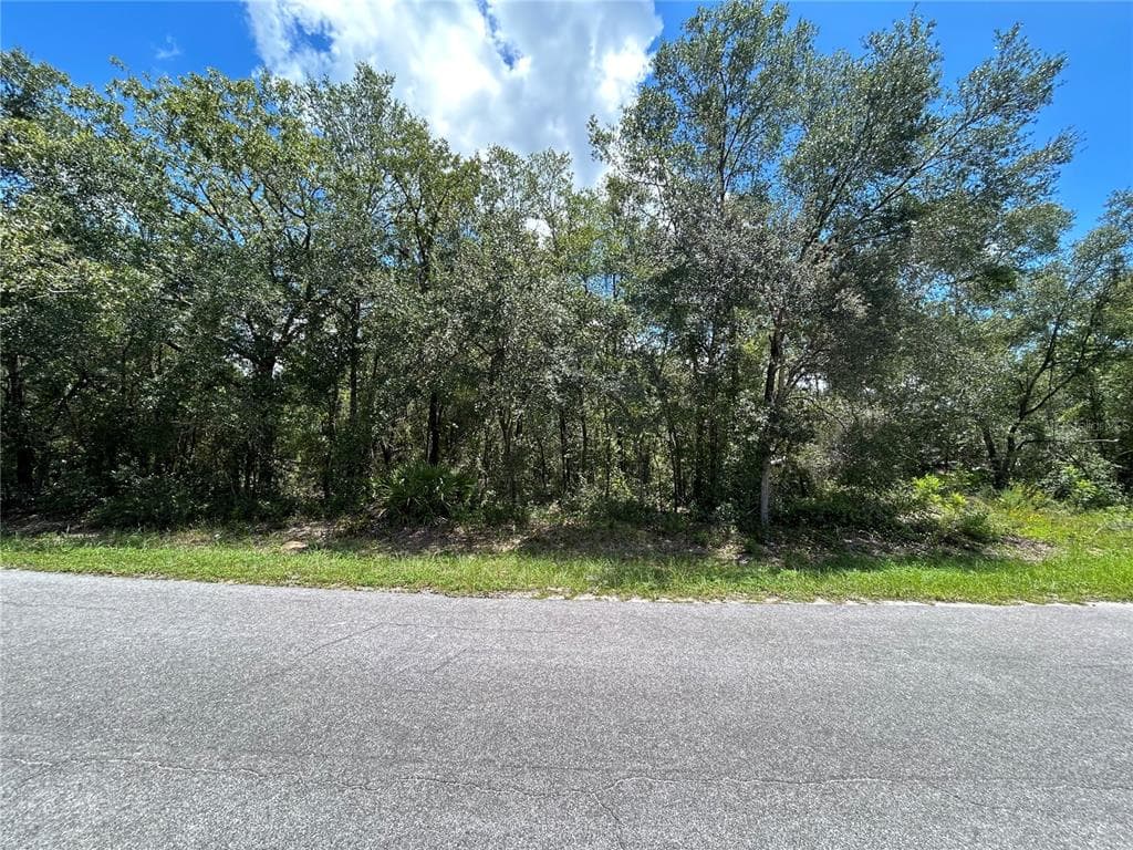 0 MALAUKA RADIAL OCKLAWAHA, FL 32179