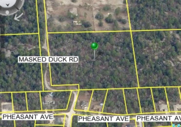 MASKED DUCK ROAD BROOKSVILLE, FL 34614
