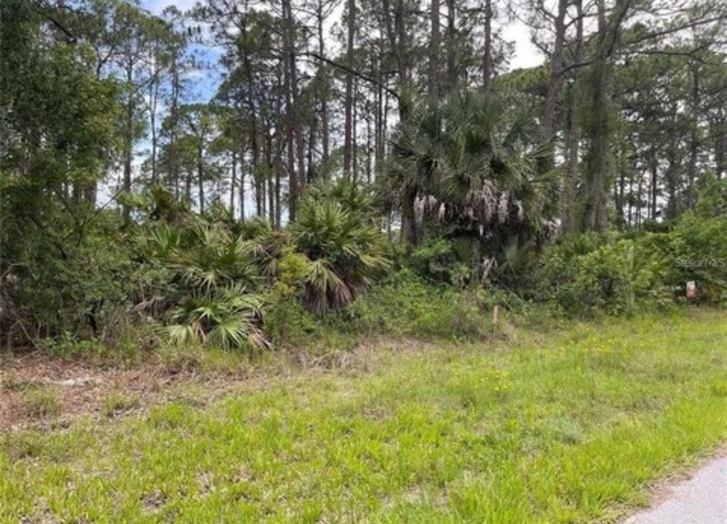 6079 E JOYCE LANE INVERNESS, FL 34452