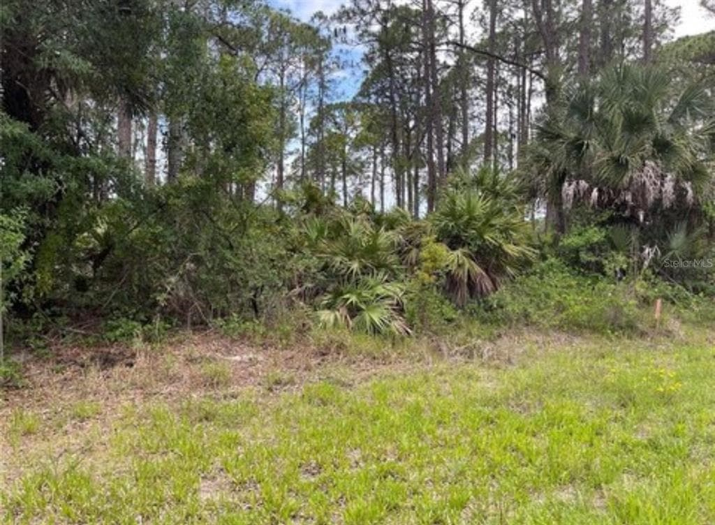 3015 EISENHOWER STREET W INVERNESS, FL 34453