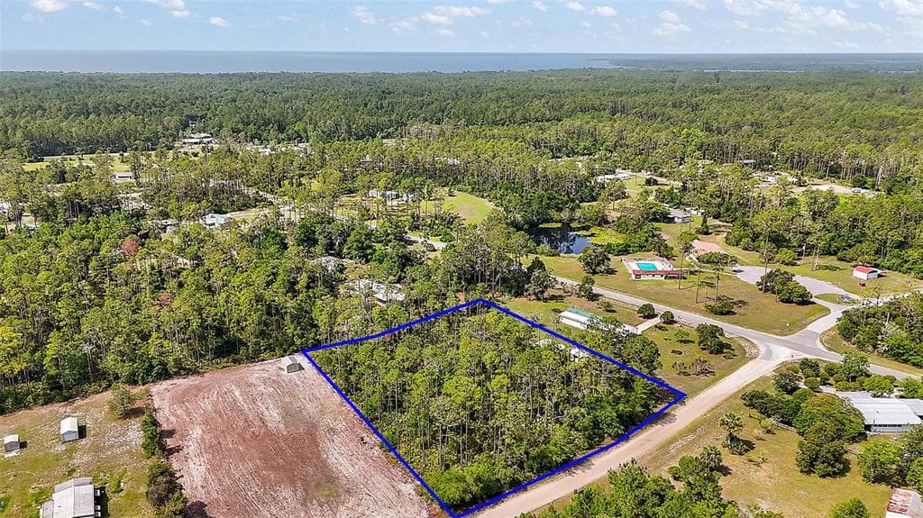 203 PONDEROSA PINE COURT GEORGETOWN, FL 32139