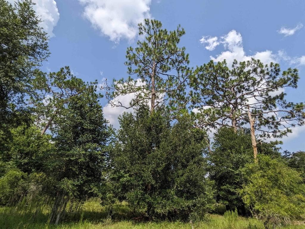 SE 37TH TRAIL TRENTON, FL 32693