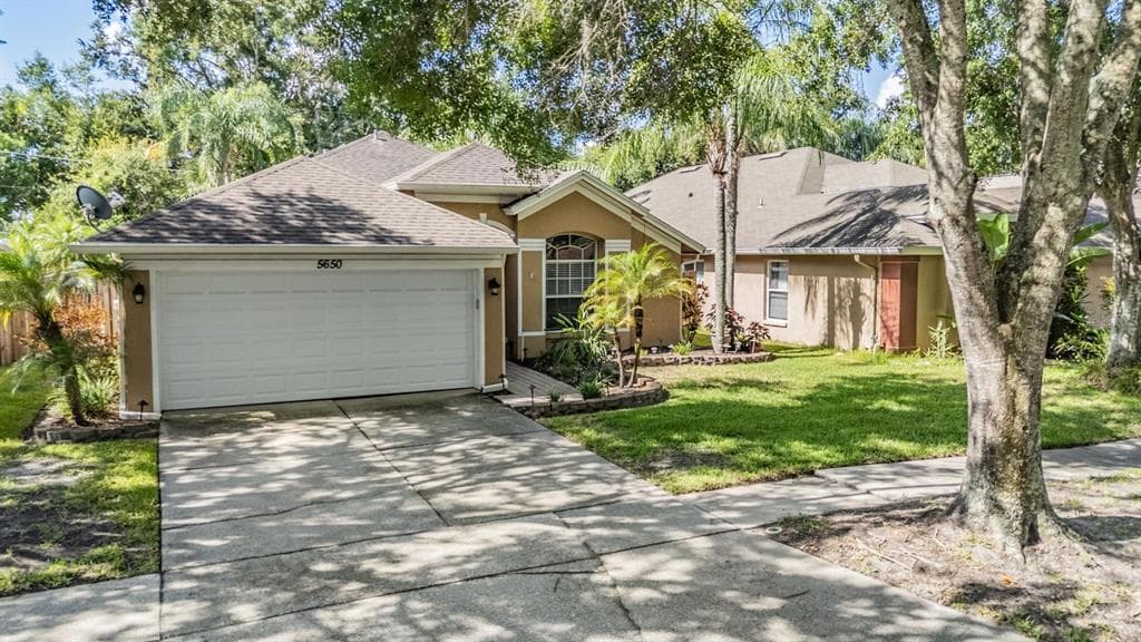 5650 PADDOCK TRAIL DRIVE TAMPA, FL 33624